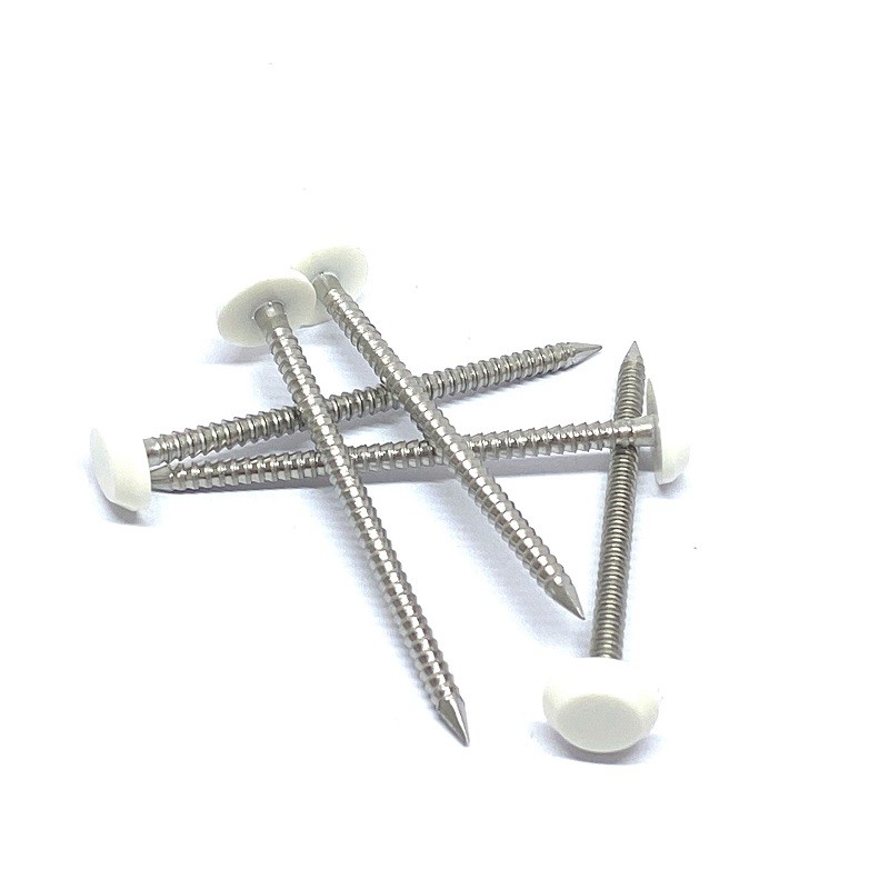 50mm X 2.65mm Annular Ring Shank Plastic Cap Roofing Nails สแตนเลส A4 Grade