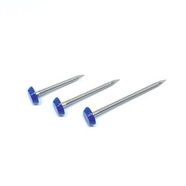 40mm SUS316 Ring Shank Plastic Cap Nails สำหรับยึด Fascia และ Soffit