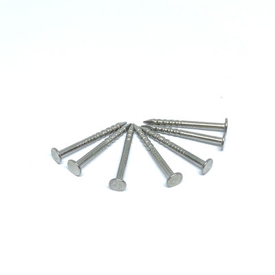 1.6X19MM ก้านแหวน 316 ตะปูหัวแบนสแตนเลส