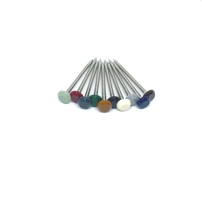 A4 สแตนเลส UV Stable หัวพลาสติกเล็บ Nylon PA6 Head