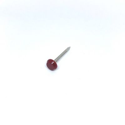 A4 เหล็กกล้าไร้สนิม Anti UV Ringed หัวพลาสติกขนาด 40 มม. เล็บ Diamond Point
