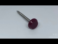 ตะปูหัวพลาสติกสแตนเลส